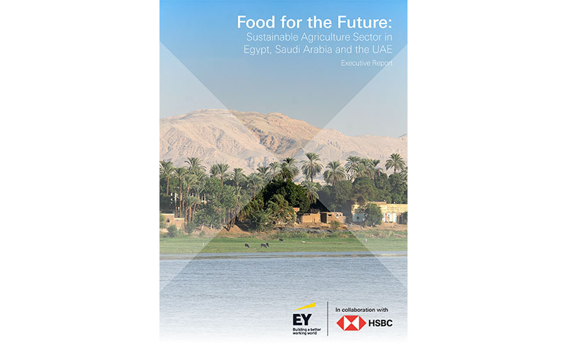 HSBC food for the future executive report