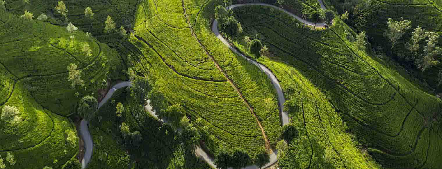  green fields for sustainability